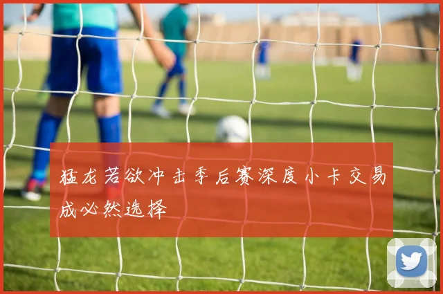 猛龙若欲冲击季后赛深度小卡交易成必然选择
